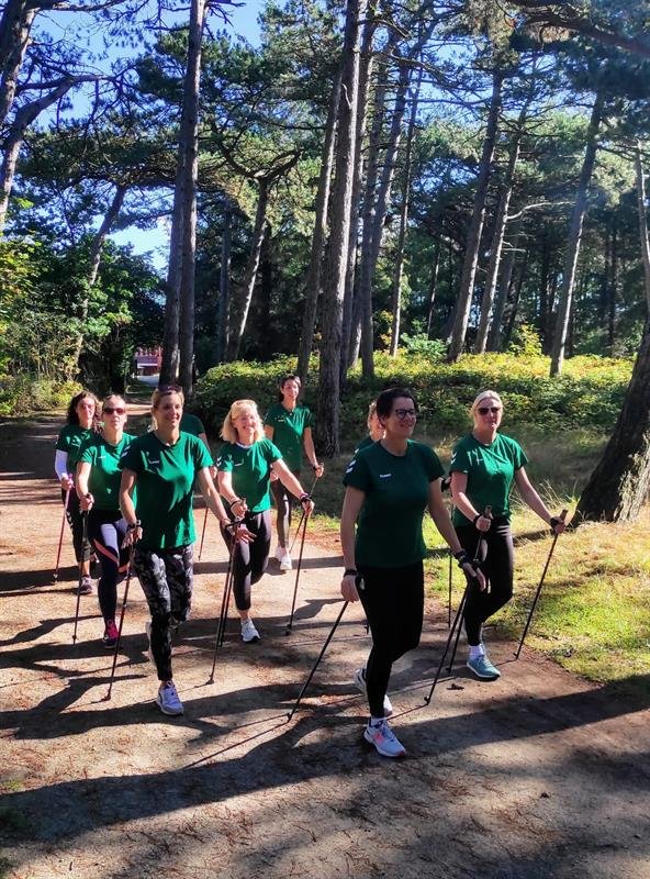 Gruppe beim Nordic Walking auf einem Waldweg