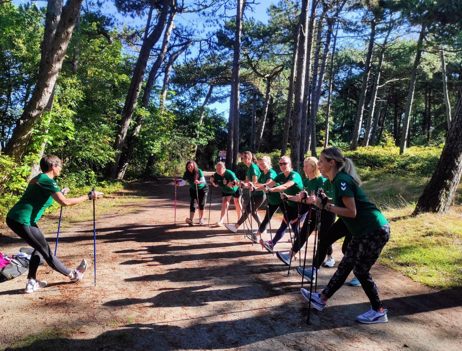 Nordic-Walking-Gruppe dehnt sich gemeinsam auf einem Waldweg